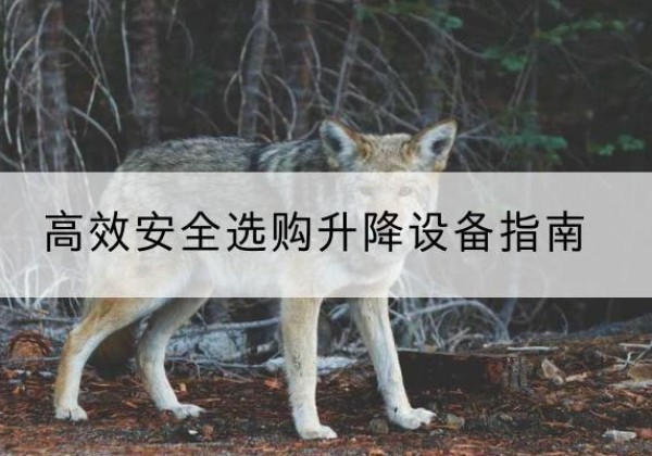 中山升降货梯厂家推荐-*安全选购升降设备指南