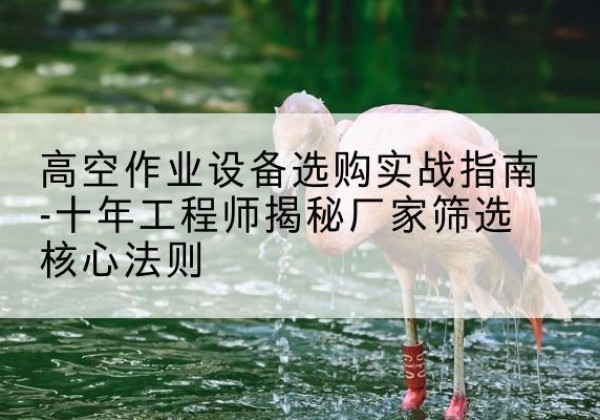 中山剪叉式升降机厂家-高空作业设备选购实战指南-十年工程师揭秘厂家筛选核心法则